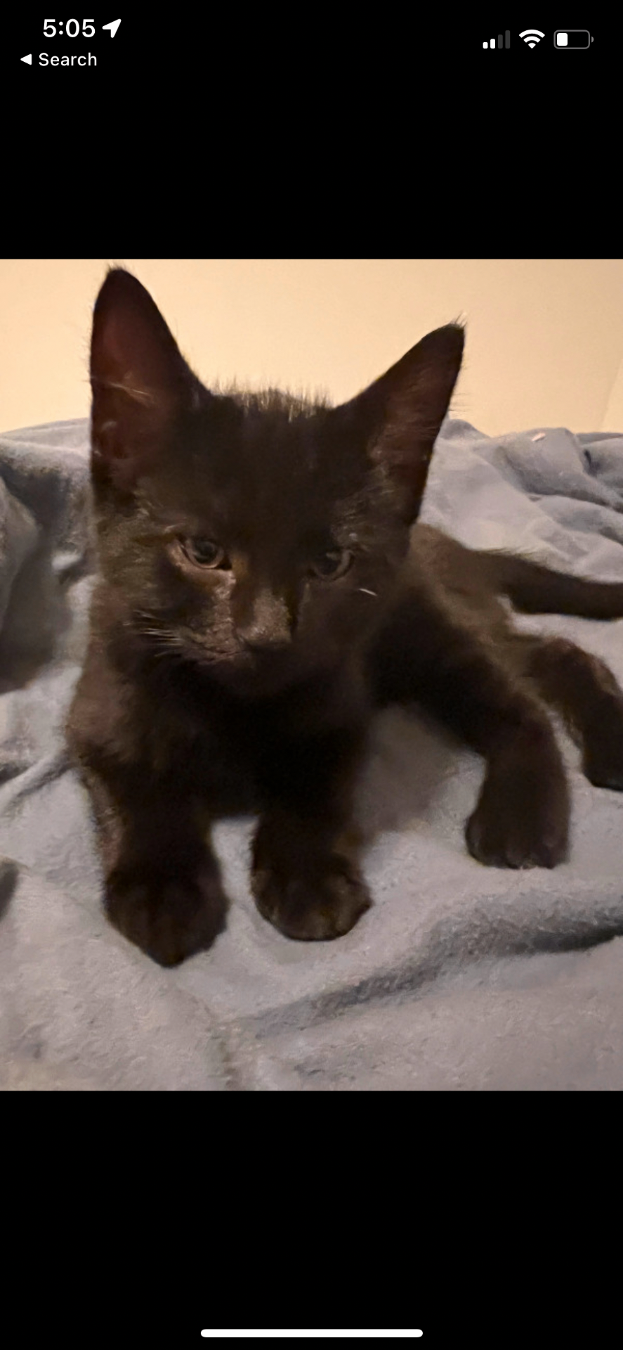 Salem photo 1