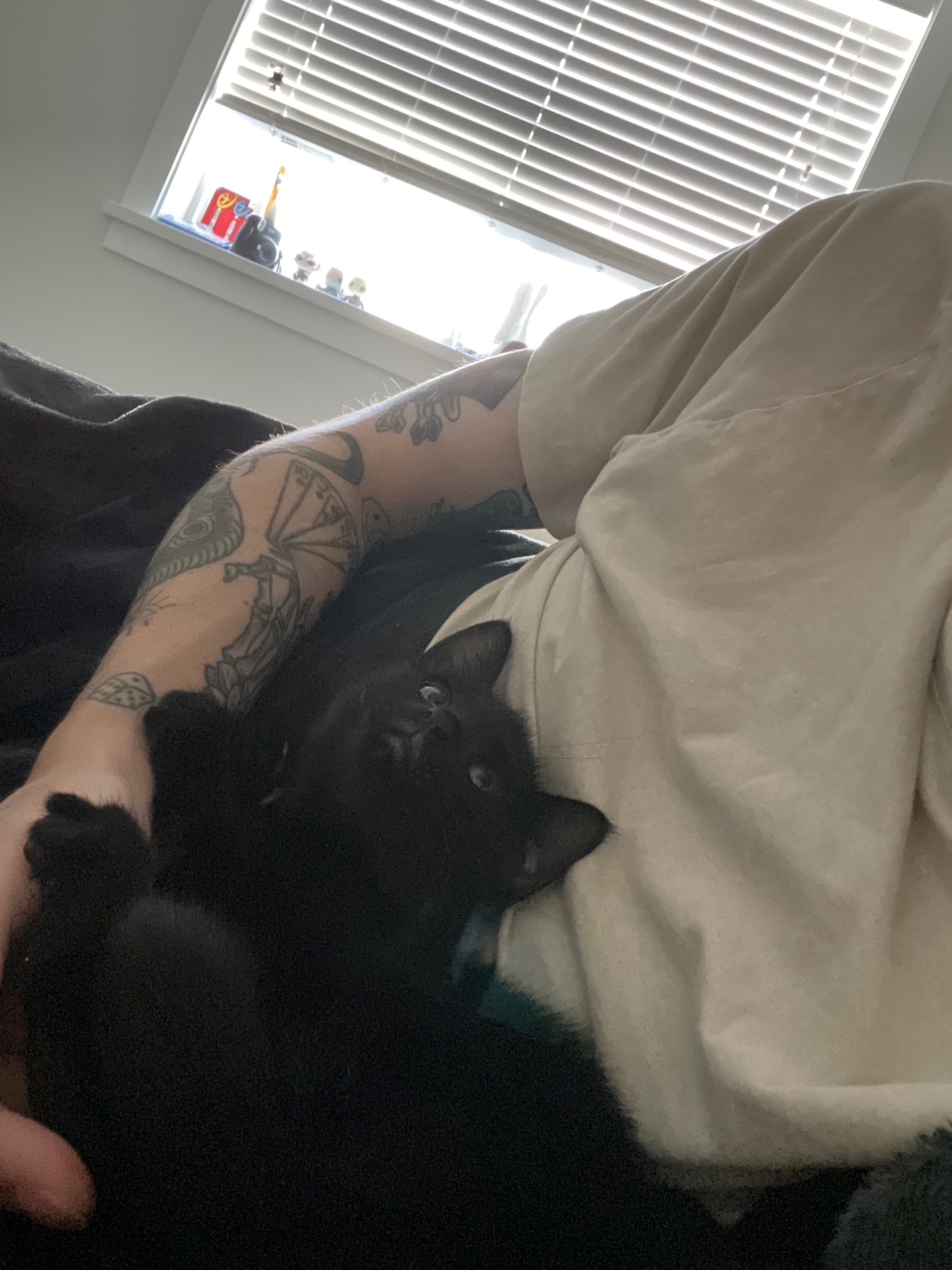 Salem photo 15