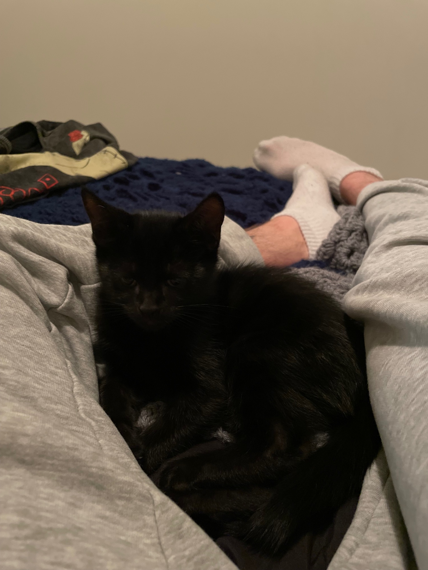Salem photo 18